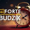 Forte Budzik